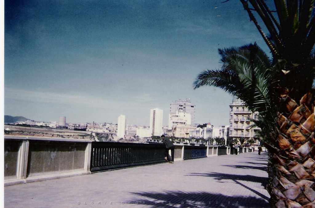 ORAN 1950 BD FRONT DE MER 01.jpg